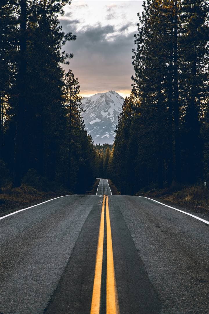Trip Header